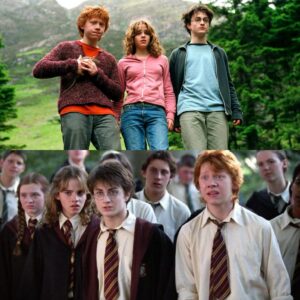 Harry Potter e il prigioniero di Azkaban curiosity movie